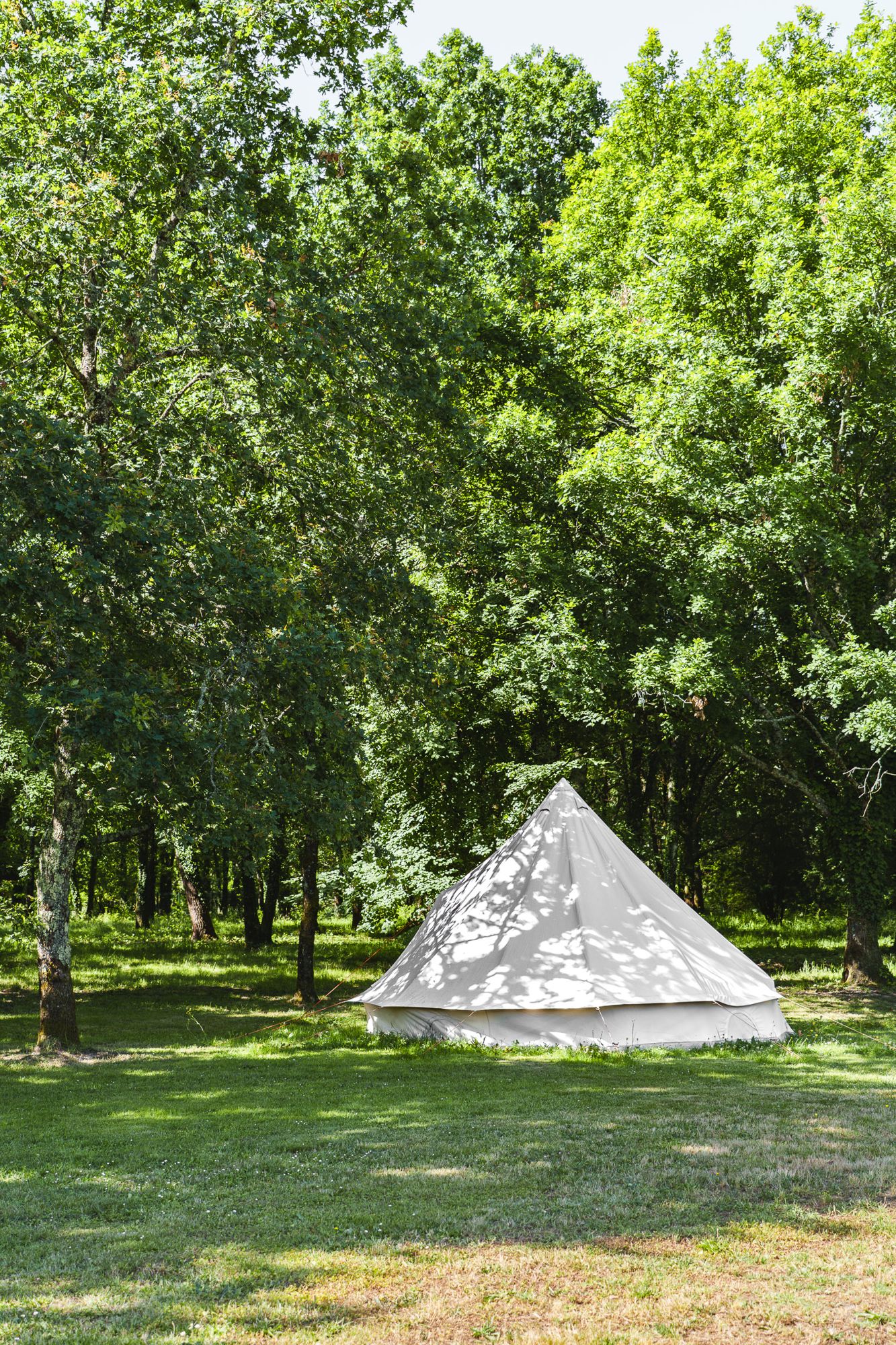 Le tipi blanc dans le parc, au matin